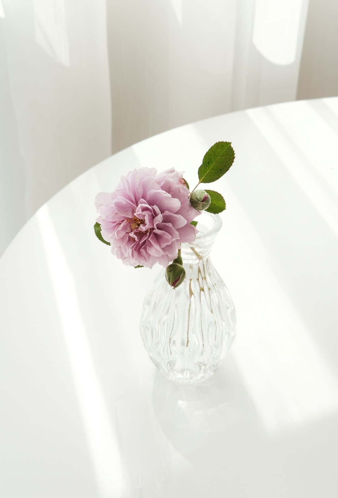 https://aliypic.oss-cn-hangzhou.aliyuncs.com/Uploadfiles/20240731/2024073116075351.001.jpeg